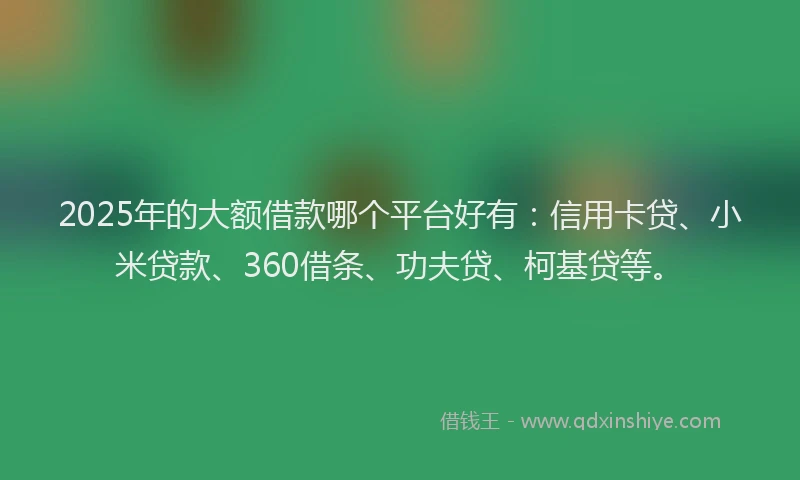 2025年的大额借款哪个平台好有：信用卡贷、小米贷款、360借条、功夫贷、柯基贷等。