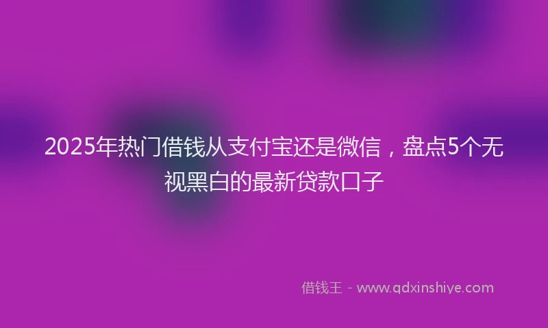 2025年热门借钱从支付宝还是微信，盘点5个无视黑白的最新贷款口子