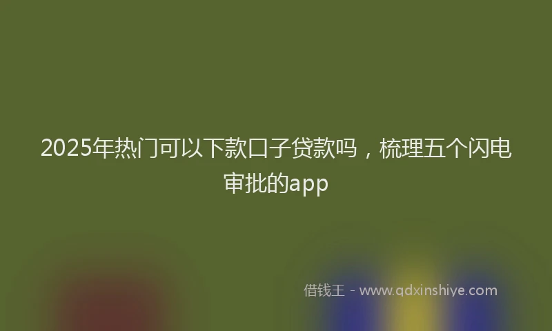 2025年热门可以下款口子贷款吗，梳理五个闪电审批的app