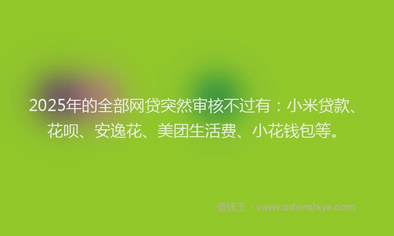 2025年的全部网贷突然审核不过有：小米贷款、花呗、安逸花、美团生活费、小花钱包等。