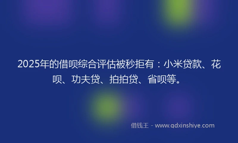 2025年的借呗综合评估被秒拒有：小米贷款、花呗、功夫贷、拍拍贷、省呗等。