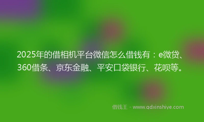 2025年的借相机平台微信怎么借钱有：e微贷、360借条、京东金融、平安口袋银行、花呗等。