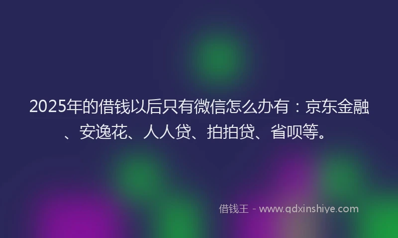 2025年的借钱以后只有微信怎么办有：京东金融、安逸花、人人贷、拍拍贷、省呗等。