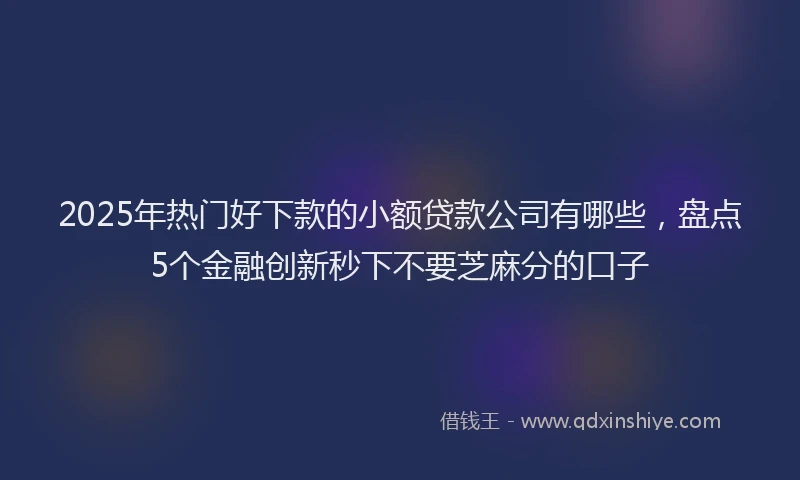 2025年热门好下款的小额贷款公司有哪些，盘点5个金融创新秒下不要芝麻分的口子