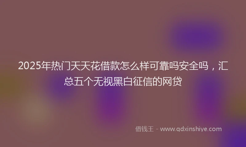 2025年热门天天花借款怎么样可靠吗安全吗，汇总五个无视黑白征信的网贷