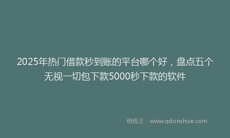2025年热门借款秒到账的平台哪个好，盘点五个无视一切包下款5000秒下款的软件