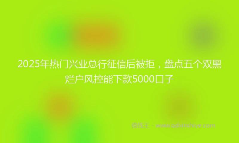 2025年热门兴业总行征信后被拒，盘点五个双黑烂户风控能下款5000口子