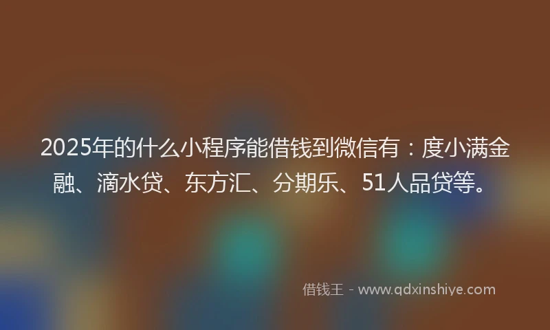 2025年的什么小程序能借钱到微信有：度小满金融、滴水贷、东方汇、分期乐、51人品贷等。