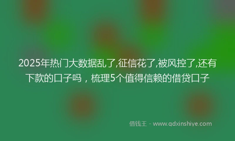 2025年热门大数据乱了,征信花了,被风控了,还有下款的口子吗，梳理5个值得信赖的借贷口子