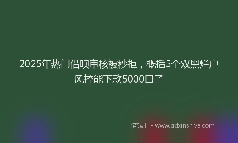 2025年热门借呗审核被秒拒，概括5个双黑烂户风控能下款5000口子