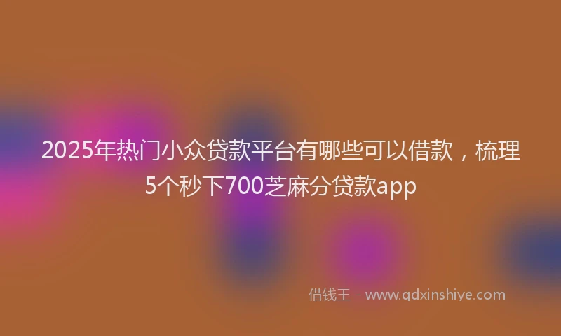 2025年热门小众贷款平台有哪些可以借款，梳理5个秒下700芝麻分贷款app