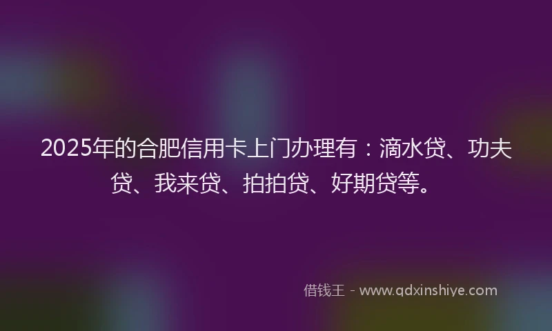2025年的合肥信用卡上门办理有：滴水贷、功夫贷、我来贷、拍拍贷、好期贷等。