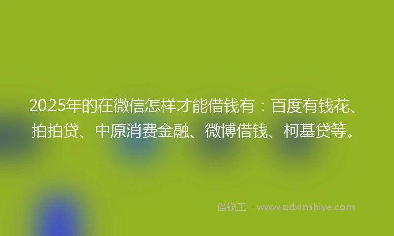 2025年的在微信怎样才能借钱有：百度有钱花、拍拍贷、中原消费金融、微博借钱、柯基贷等。