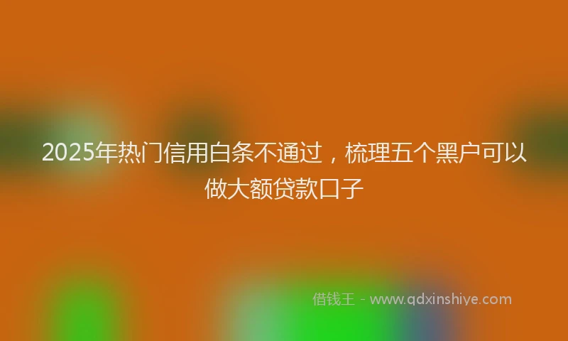 2025年热门信用白条不通过，梳理五个黑户可以做大额贷款口子