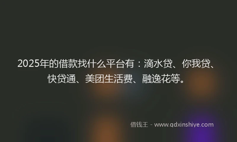2025年的借款找什么平台有：滴水贷、你我贷、快贷通、美团生活费、融逸花等。