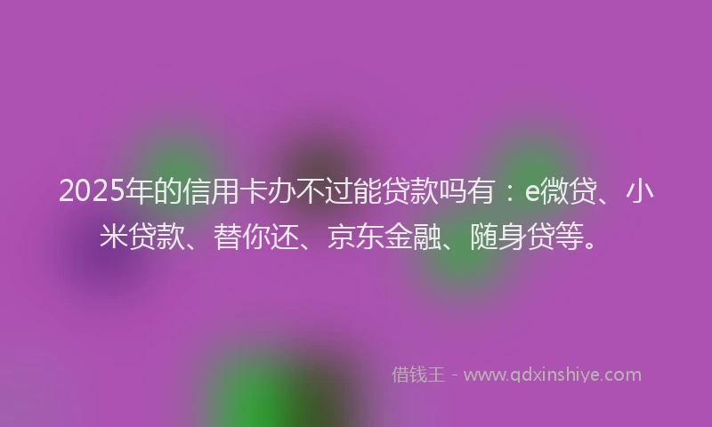 2025年的信用卡办不过能贷款吗有：e微贷、小米贷款、替你还、京东金融、随身贷等。