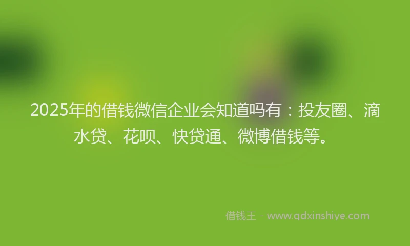 2025年的借钱微信企业会知道吗有：投友圈、滴水贷、花呗、快贷通、微博借钱等。