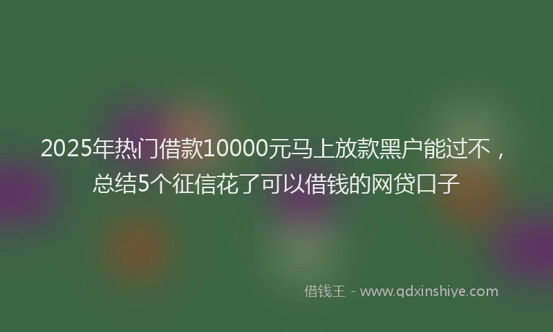 2025年热门借款10000元马上放款黑户能过不，总结5个征信花了可以借钱的网贷口子