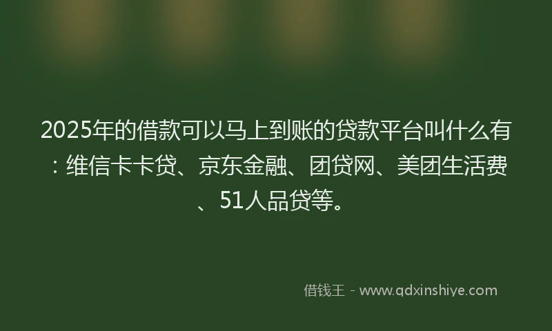 2025年的借款可以马上到账的贷款平台叫什么有：维信卡卡贷、京东金融、团贷网、美团生活费、51人品贷等。