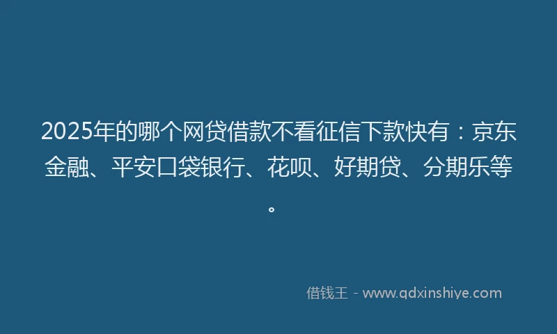 2025年的哪个网贷借款不看征信下款快有：京东金融、平安口袋银行、花呗、好期贷、分期乐等。