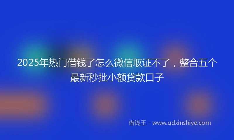 2025年热门借钱了怎么微信取证不了，整合五个最新秒批小额贷款口子