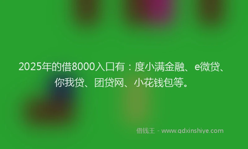 2025年的借8000入口有：度小满金融、e微贷、你我贷、团贷网、小花钱包等。