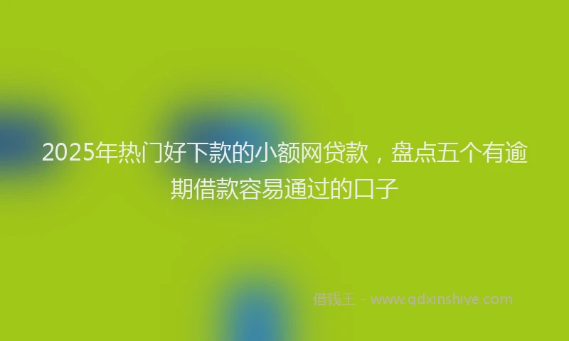 2025年热门好下款的小额网贷款，盘点五个有逾期借款容易通过的口子
