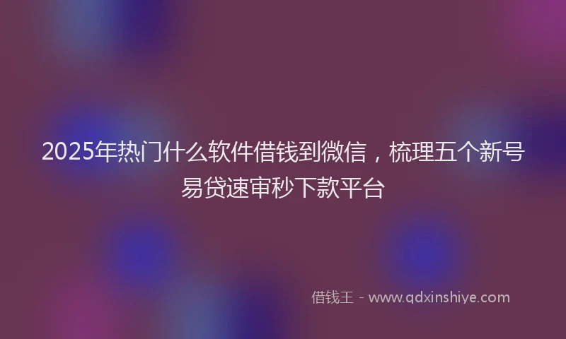 2025年热门什么软件借钱到微信，梳理五个新号易贷速审秒下款平台