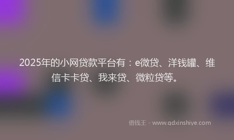 2025年的小网贷款平台有：e微贷、洋钱罐、维信卡卡贷、我来贷、微粒贷等。