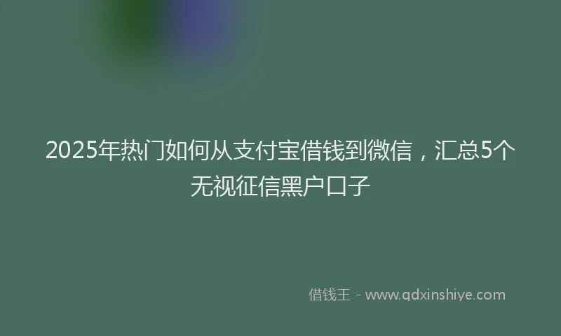 2025年热门如何从支付宝借钱到微信，汇总5个无视征信黑户口子