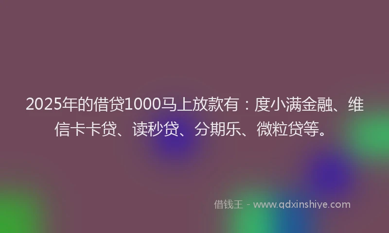 2025年的借贷1000马上放款有：度小满金融、维信卡卡贷、读秒贷、分期乐、微粒贷等。