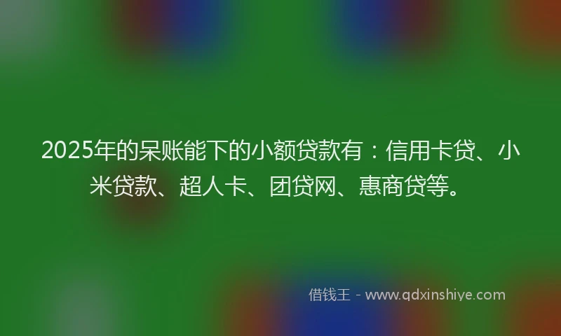 2025年的呆账能下的小额贷款有：信用卡贷、小米贷款、超人卡、团贷网、惠商贷等。