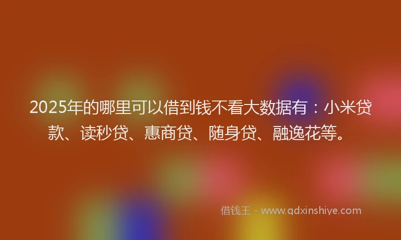 2025年的哪里可以借到钱不看大数据有：小米贷款、读秒贷、惠商贷、随身贷、融逸花等。