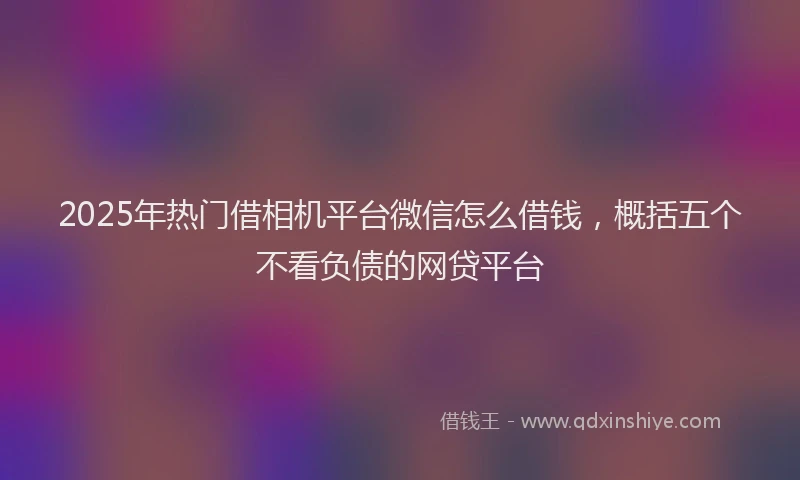 2025年热门借相机平台微信怎么借钱，概括五个不看负债的网贷平台