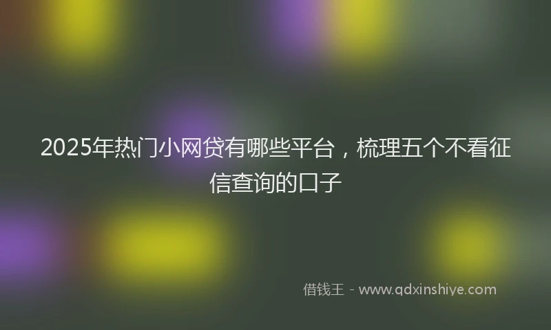 2025年热门小网贷有哪些平台，梳理五个不看征信查询的口子