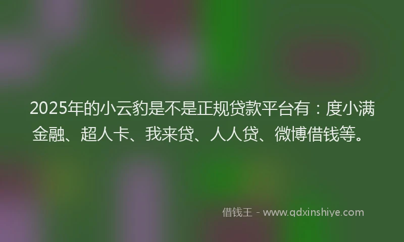 2025年的小云豹是不是正规贷款平台有：度小满金融、超人卡、我来贷、人人贷、微博借钱等。
