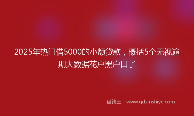 2025年热门借5000的小额贷款，概括5个无视逾期大数据花户黑户口子