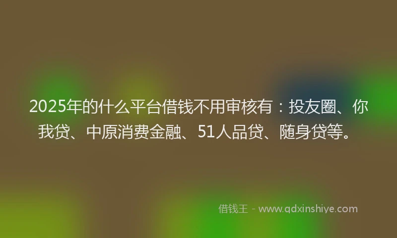 2025年的什么平台借钱不用审核有：投友圈、你我贷、中原消费金融、51人品贷、随身贷等。