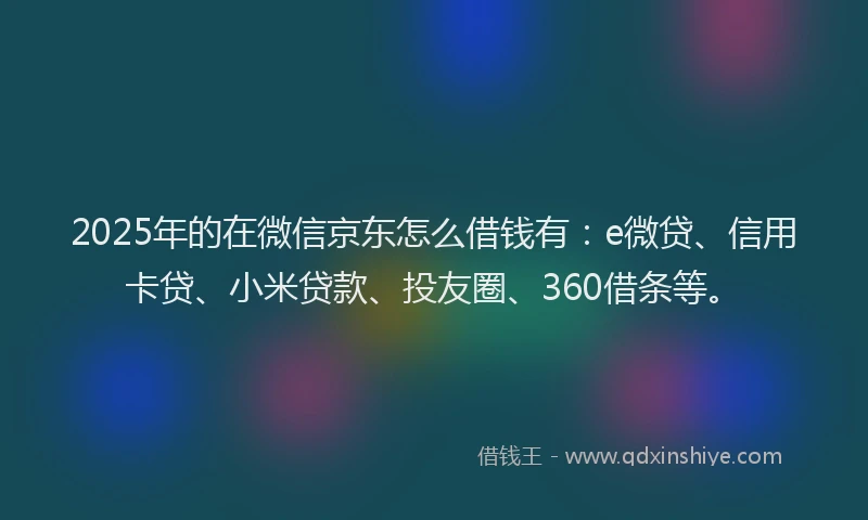 2025年的在微信京东怎么借钱有：e微贷、信用卡贷、小米贷款、投友圈、360借条等。
