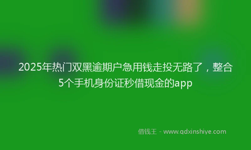 2025年热门双黑逾期户急用钱走投无路了，整合5个手机身份证秒借现金的app