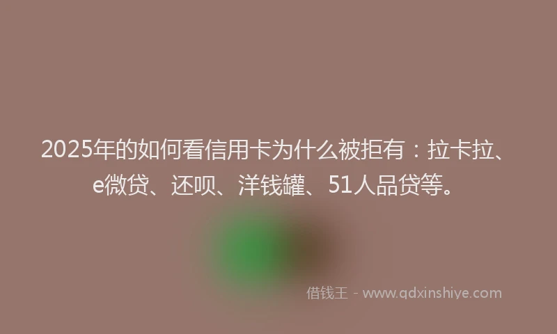 2025年的如何看信用卡为什么被拒有：拉卡拉、e微贷、还呗、洋钱罐、51人品贷等。