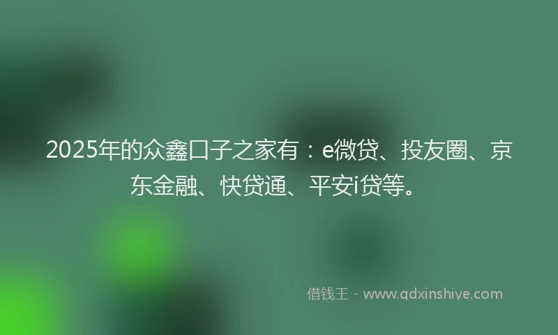 2025年的众鑫口子之家有：e微贷、投友圈、京东金融、快贷通、平安i贷等。