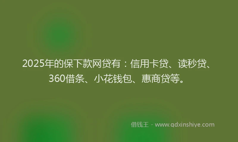 2025年的保下款网贷有：信用卡贷、读秒贷、360借条、小花钱包、惠商贷等。