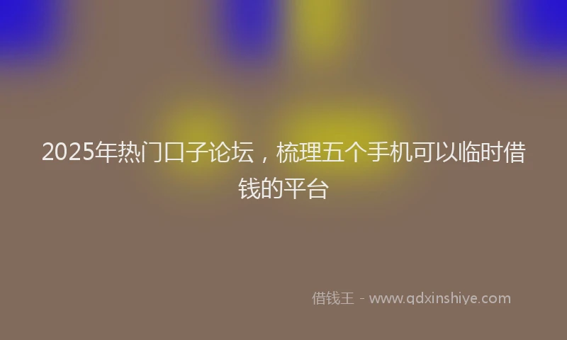 2025年热门口子论坛，梳理五个手机可以临时借钱的平台