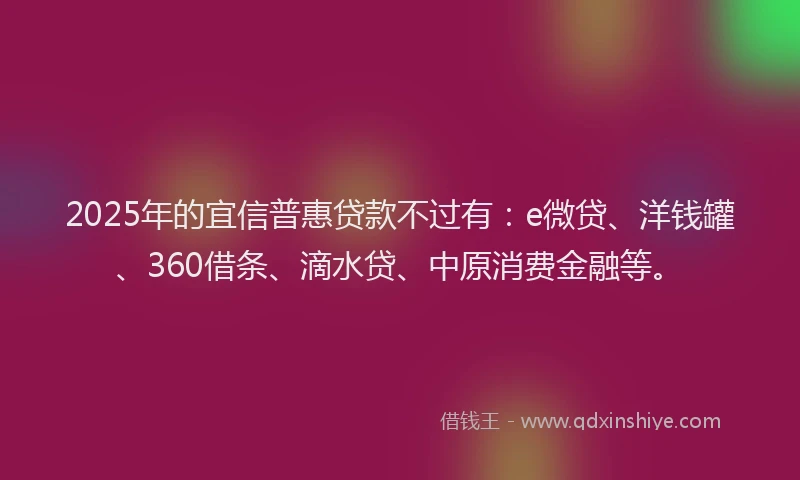 2025年的宜信普惠贷款不过有：e微贷、洋钱罐、360借条、滴水贷、中原消费金融等。