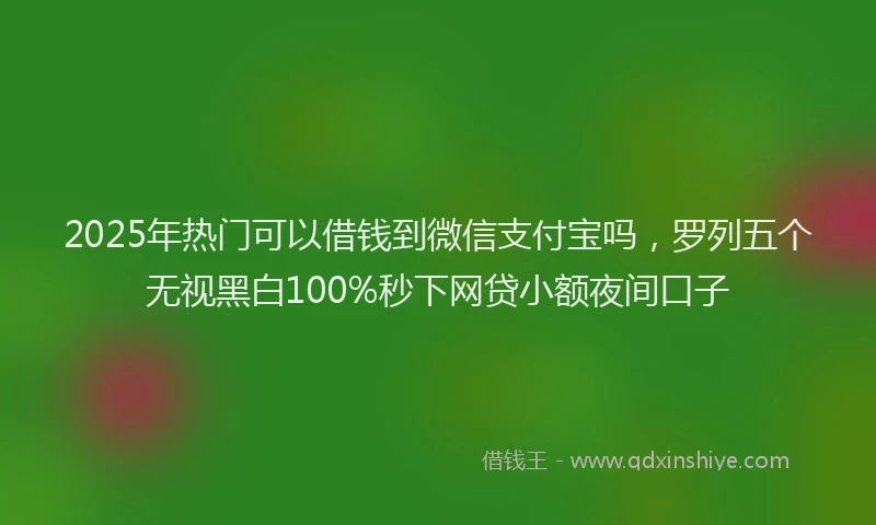 2025年热门可以借钱到微信支付宝吗，罗列五个无视黑白100%秒下网贷小额夜间口子