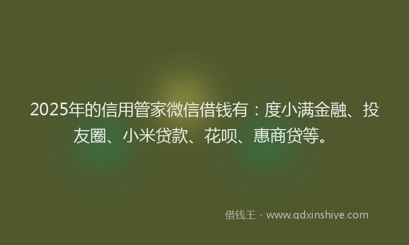 2025年的信用管家微信借钱有：度小满金融、投友圈、小米贷款、花呗、惠商贷等。