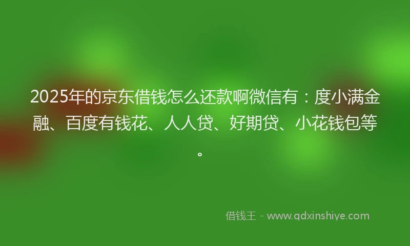 2025年的京东借钱怎么还款啊微信有：度小满金融、百度有钱花、人人贷、好期贷、小花钱包等。