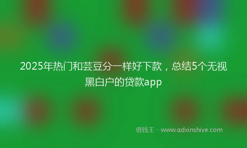 2025年热门和芸豆分一样好下款，总结5个无视黑白户的贷款app