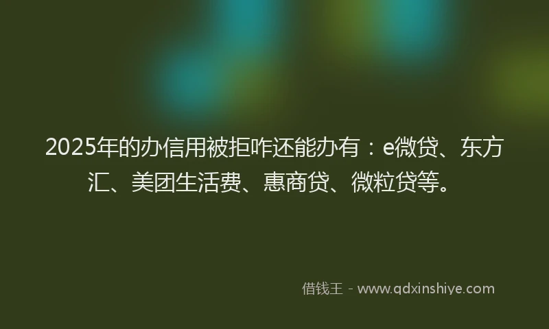 2025年的办信用被拒咋还能办有：e微贷、东方汇、美团生活费、惠商贷、微粒贷等。